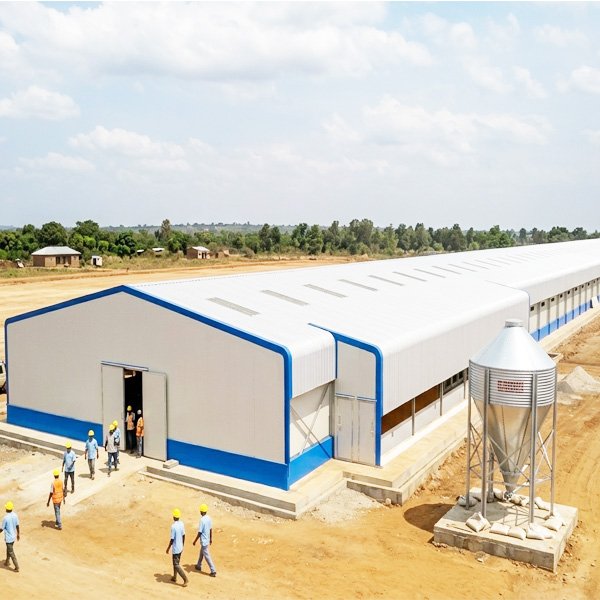 Poultry Farm-Steel Chicken House