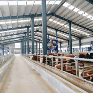 Cattle Sheds Sheep Sheds