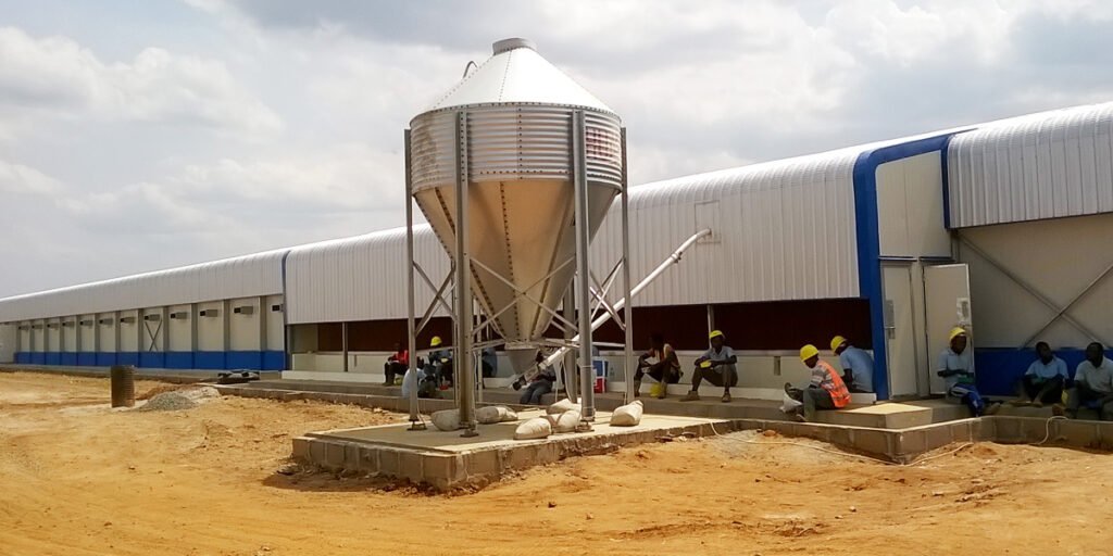 Kenya Poultry Farm Project