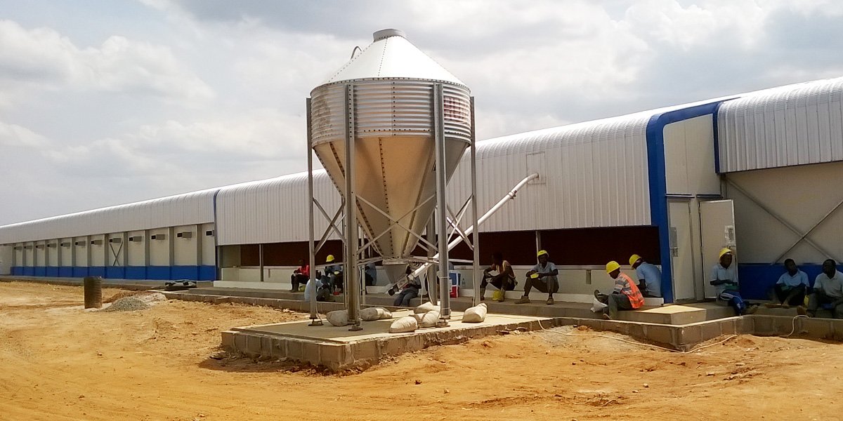 Kenya Poultry Farm Project